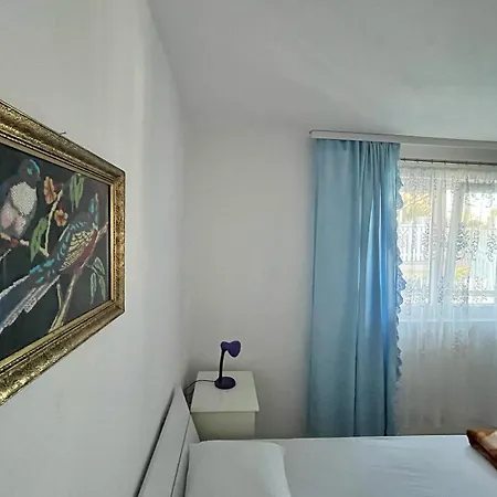 Smestaj Pejcic 招待所 尼什矿泉村